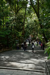 20120415-01.jpg