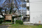20120425-01.jpg