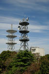 20120425-03.jpg