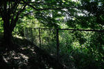 20120425-04.jpg