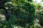 20120425-05.jpg