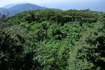 20120425-06.jpg