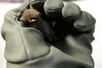 20120515-01.jpg