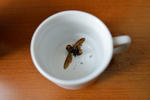 20120522-38.jpg