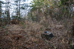 20121220-04.jpg
