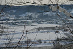 20130108-01.jpg