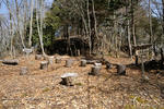 20130109-04.jpg