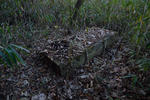 20130218-04.jpg