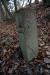 20130218-02.jpg