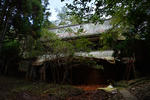 20130320-05.jpg