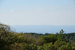 20130320-08.jpg