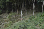 20130331-04.jpg
