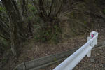 20130404-03.jpg