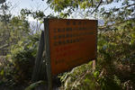 20130404-05.jpg