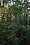 20130404-04.jpg