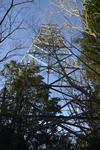 20130404-08.jpg