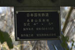 20130404-10.jpg