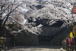 20130416-02.jpg