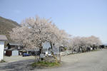 20130416-06.jpg