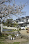 20130416-05.jpg