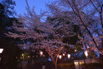 20130416-04.jpg