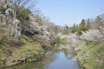 20130416-01.jpg