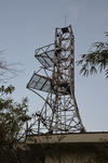 20130504-03.jpg