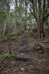 20130509-04.jpg