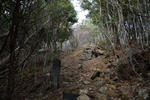 20130509-07.jpg