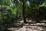 20130528-02.jpg
