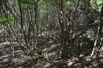 20130528-04.jpg