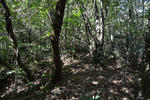 20130528-03.jpg