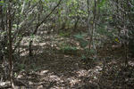 20130528-05.jpg