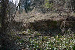 20130603-01.jpg