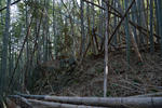 20130605-01.jpg