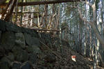 20130605-02.jpg