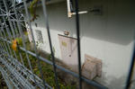 20130611-03.jpg