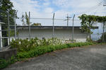 20130611-02.jpg