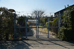 20130613-03.jpg