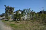 20130613-04.jpg