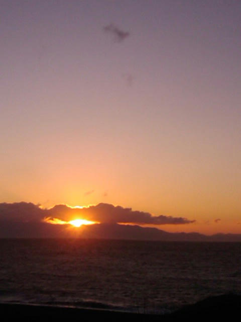 IMAG0346.jpg
