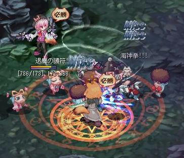 roi209.JPG