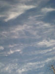 070708_1809~0001.jpg