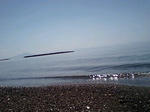 070724_1238~0001.jpg