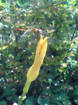 070825_1102~0001.JPG