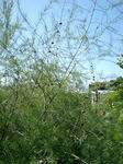 PA0_0004.JPG
