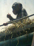 070910_1049~0002.jpg