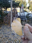 071110_1001~0002.jpg