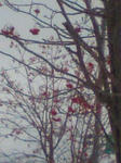 080109_1442~0002.jpg