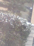 080109_1444~0001.jpg